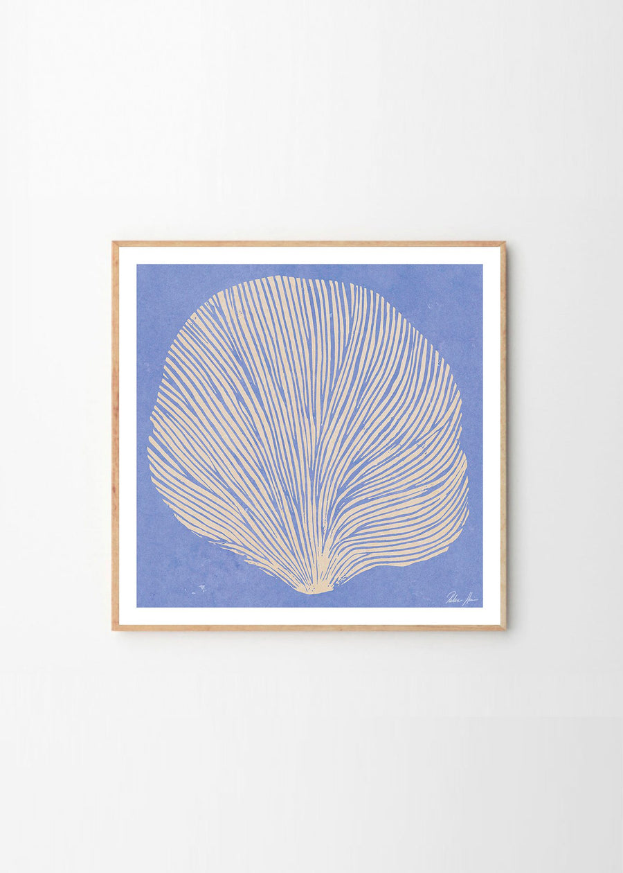 Sea Lavender Framed Print